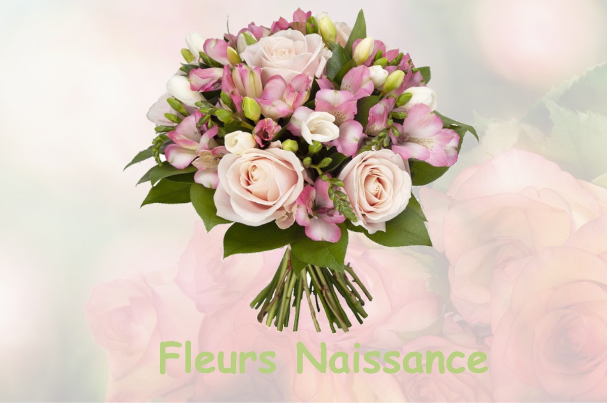 fleurs naissance FONTAINES-SAINT-CLAIR