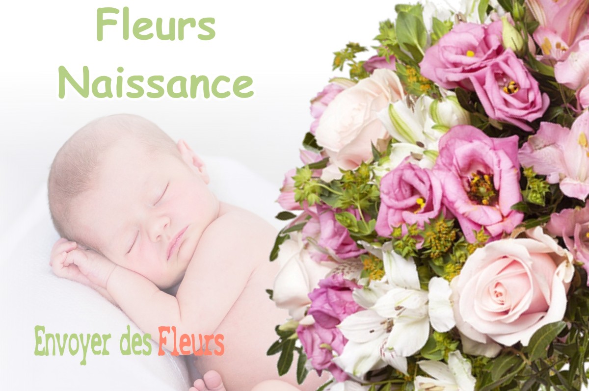 lIVRAISON FLEURS NAISSANCE à FONTAINES-SAINT-CLAIR